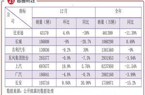 从日均7.1万辆销量中，我找到了2020年车业的大牛股