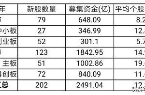 2019猪年新股数据(打新)——坚持申购的必要性