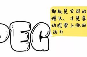 《估值方法专辑》PEG：一个判断估值高低的辅助工具