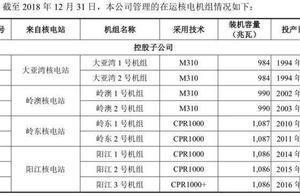 中国核电龙头:中国广核