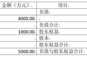 财务报表分析第二课 购置无形资产和固定资产